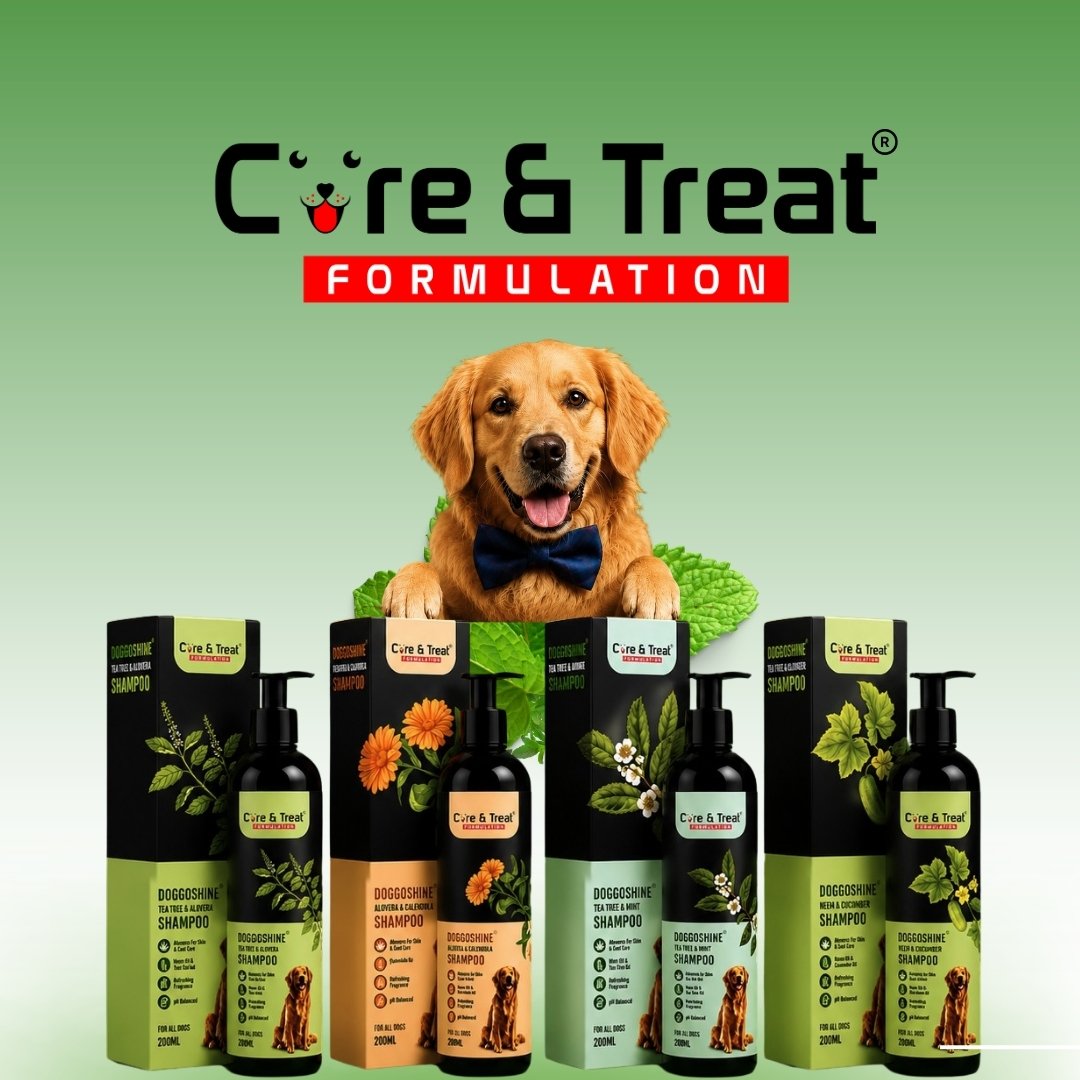Care & Treat packaging range